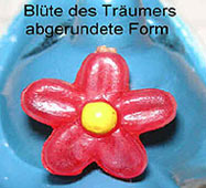 Blüte